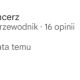 Zrzut ekranu 2025-06-18 124540